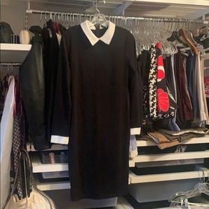 Black pencil dress with white collar and cuffs